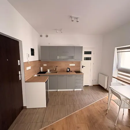 Małeckiego 21 - *